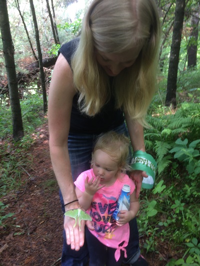 Exploring Nature Child observes moth