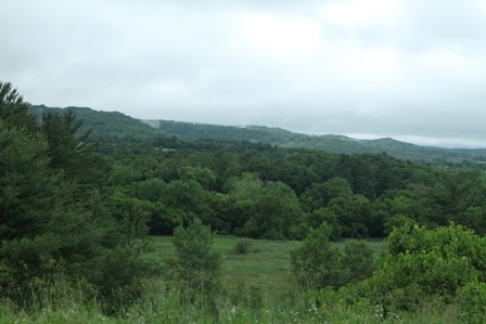 View across the Rockton Slough showing dense vegetation