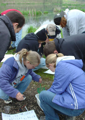 Students studying macroinvertebrates at a pond