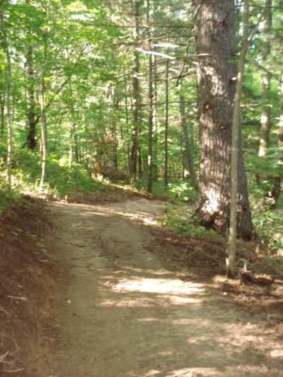 A newly built trail in Hay Valley Woods