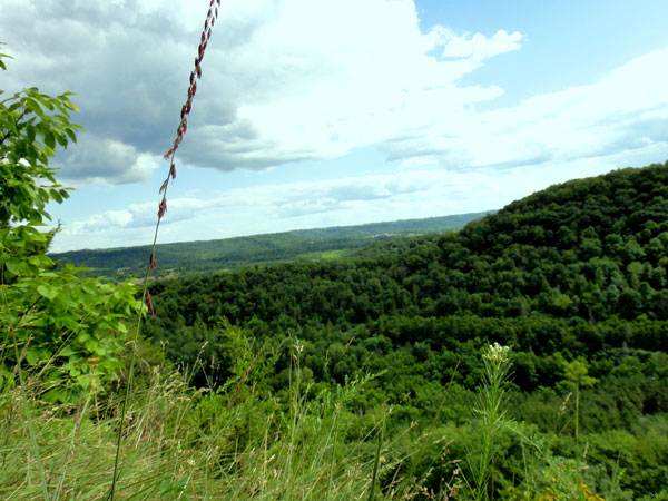 A view overlooking the Kickapoo Valley Reserve